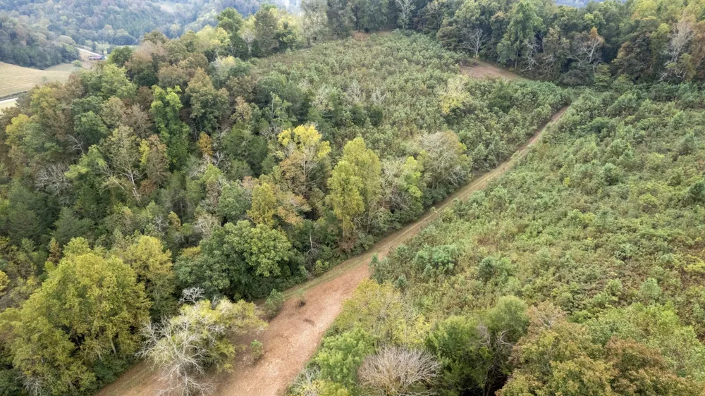 1 Noah Rd Beechgrove, TN 37018