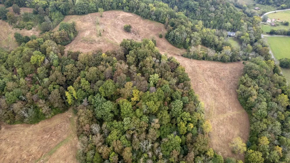 1 Noah Rd Beechgrove, TN 37018