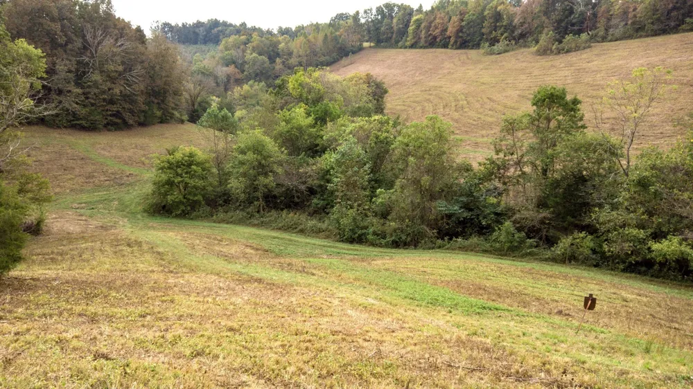 1 Noah Rd Beechgrove, TN 37018