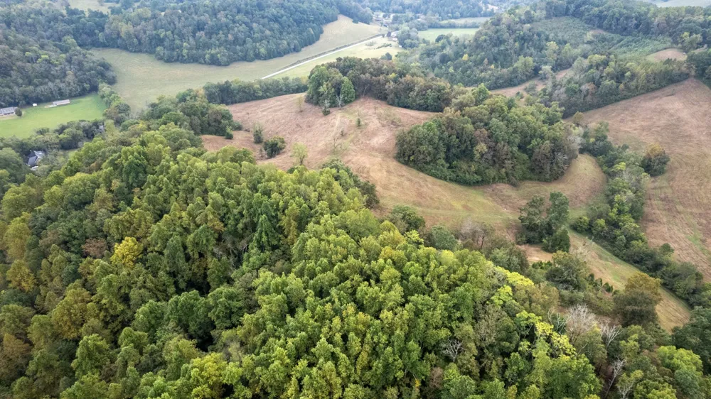 1 Noah Rd Beechgrove, TN 37018
