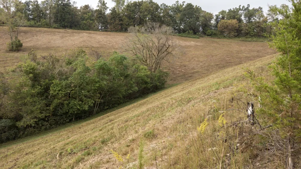 1 Noah Rd Beechgrove, TN 37018