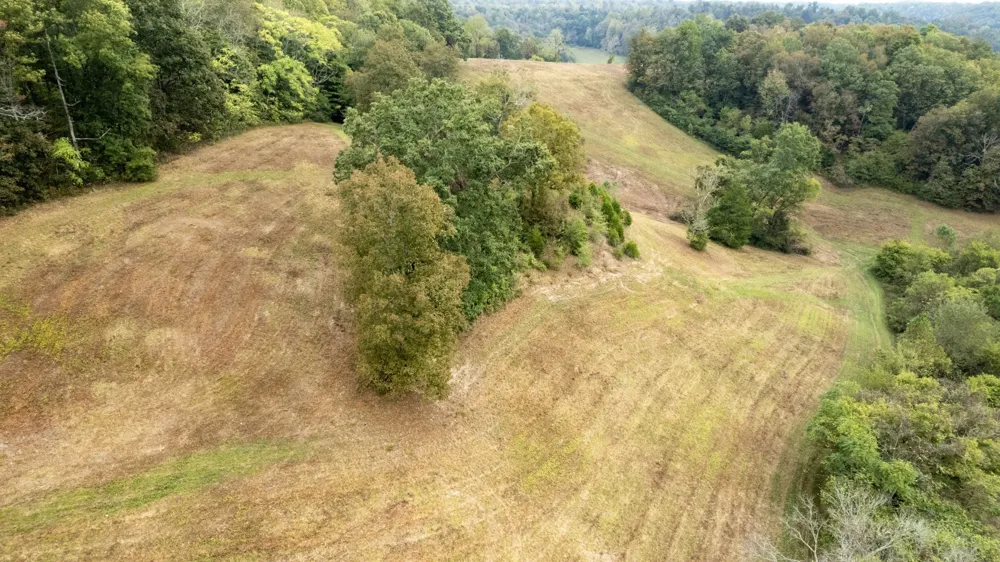 1 Noah Rd Beechgrove, TN 37018