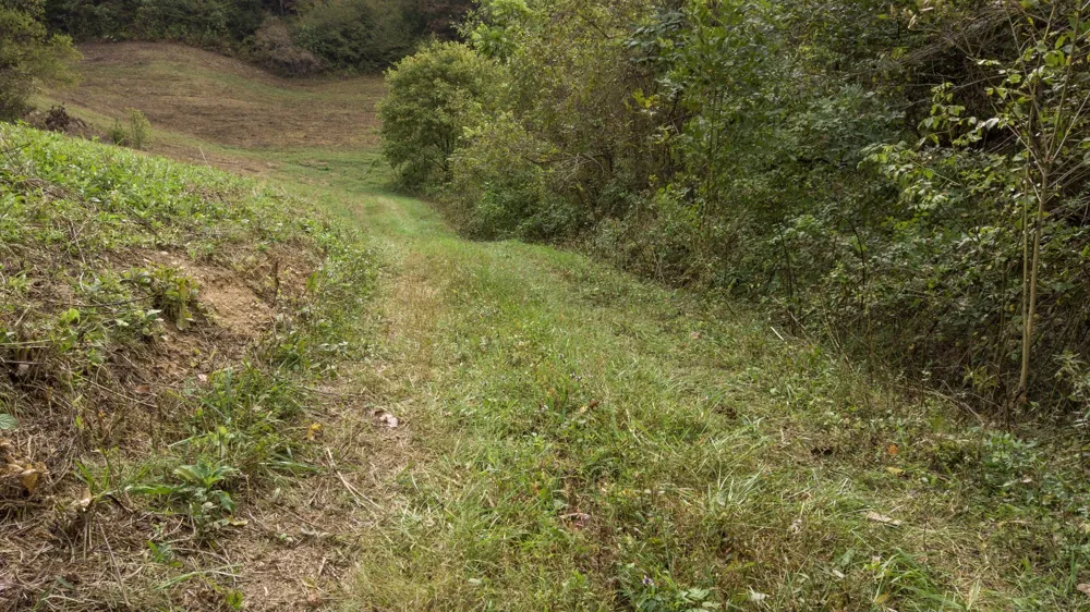 1 Noah Rd Beechgrove, TN 37018