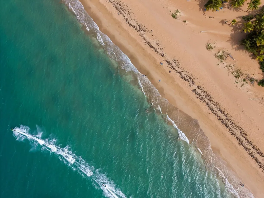 OCEAN FOREST #Lot 2 Rio Grande, PR 00745