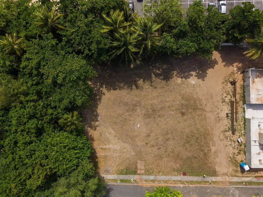 OCEAN FOREST #Lot 2 Rio Grande, PR 00745