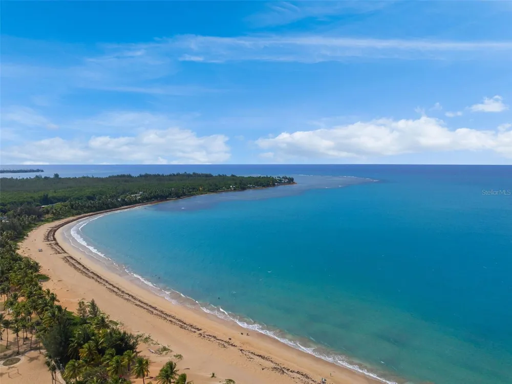 OCEAN FOREST #Lot 2 Rio Grande, PR 00745