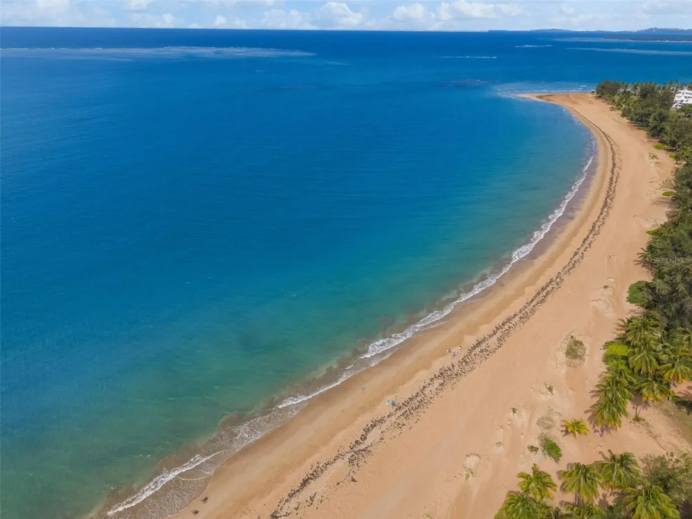 OCEAN FOREST #Lot 2 Rio Grande, PR 00745