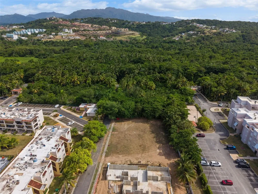 OCEAN FOREST #Lot 2 Rio Grande, PR 00745