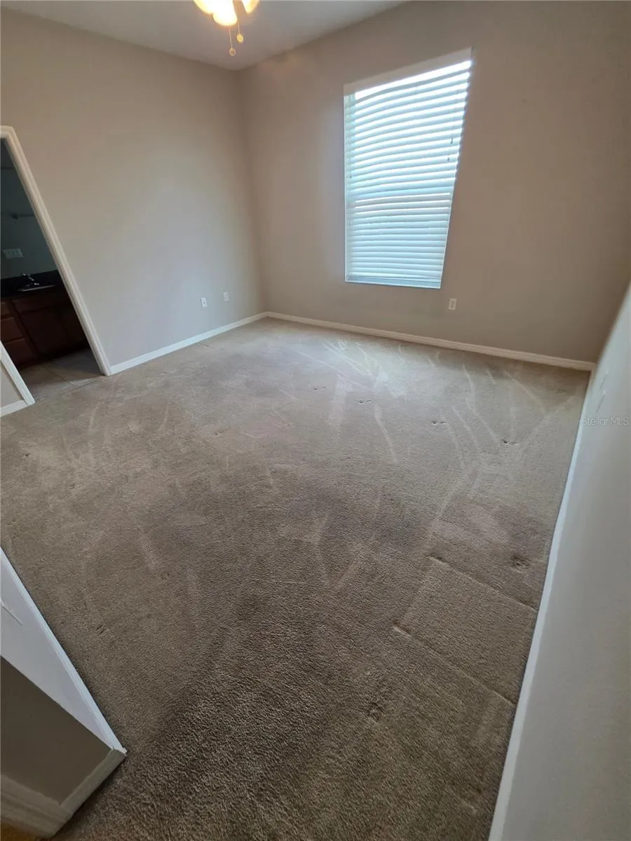 810 CALLISTA CAY LOOP Tarpon Springs, FL 34689
