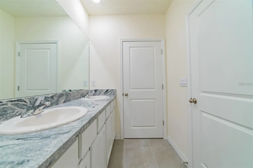 9138 FORGE BREEZE LOOP Wesley Chapel, FL 33545
