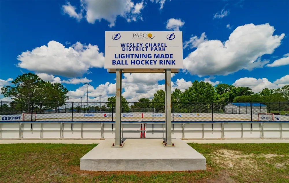 9138 FORGE BREEZE LOOP Wesley Chapel, FL 33545