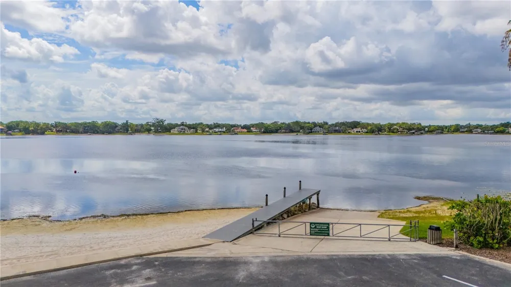10509 ORANGE GROVE DRIVE Tampa, FL 33618