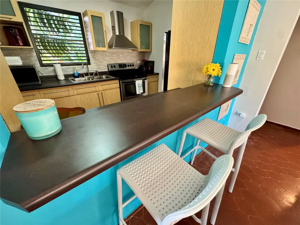 100 CANDELERO DRIVE #2067 Humacao, PR 00791