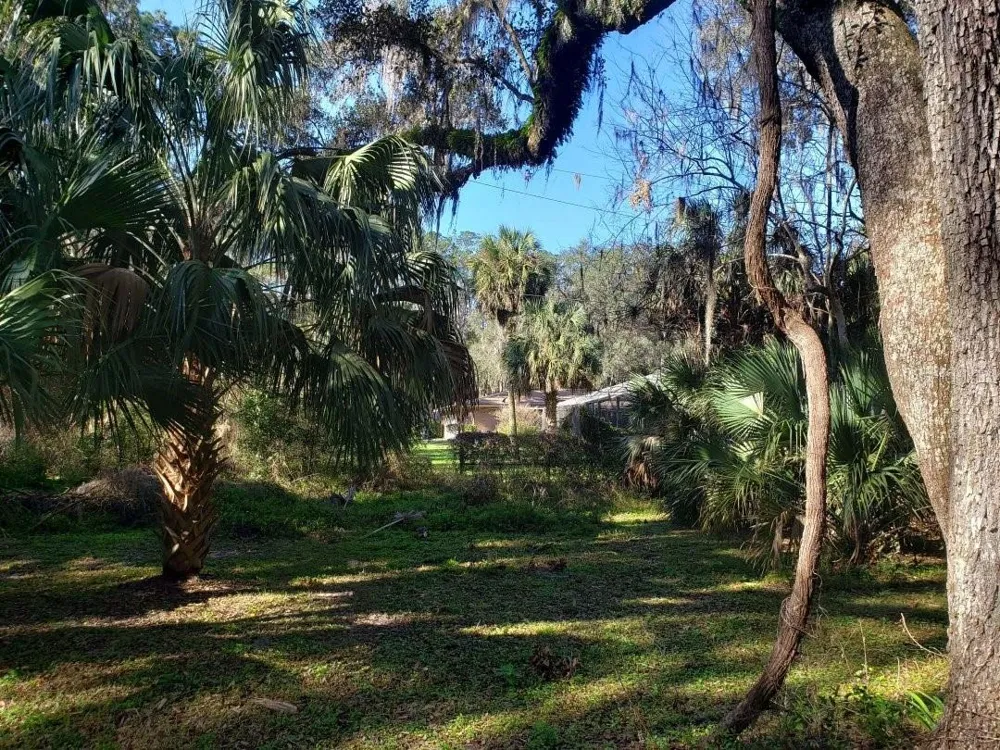2929 SW 2ND COURT Gainesville, FL 32601