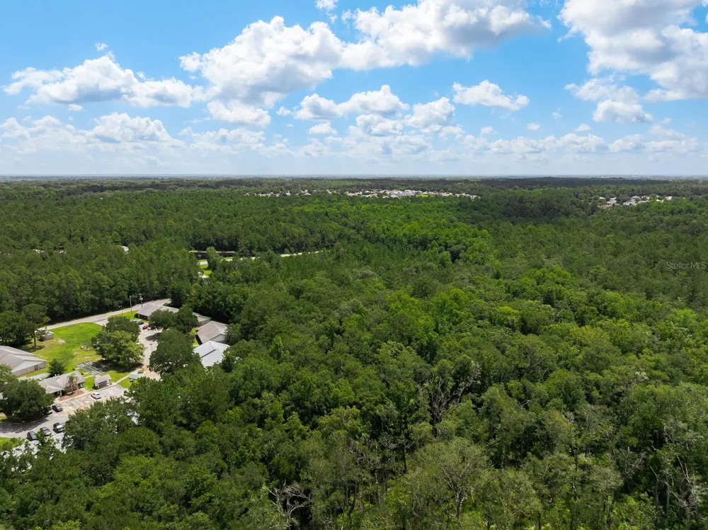 3779 COUNTY ROAD 218 Middleburg, FL 32068