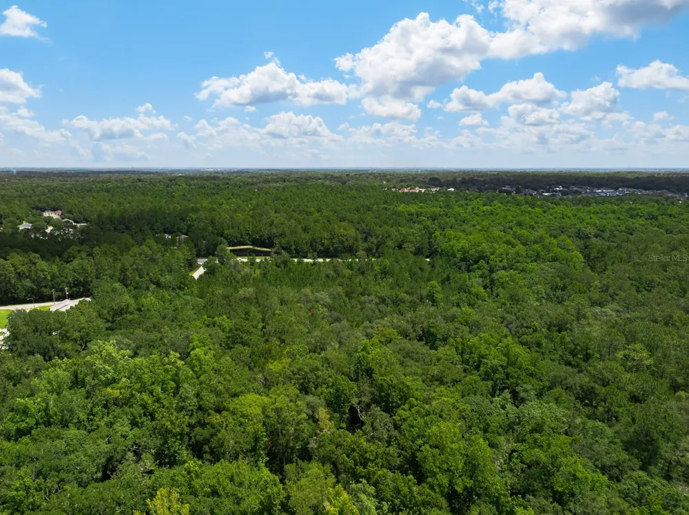 3779 COUNTY ROAD 218 Middleburg, FL 32068