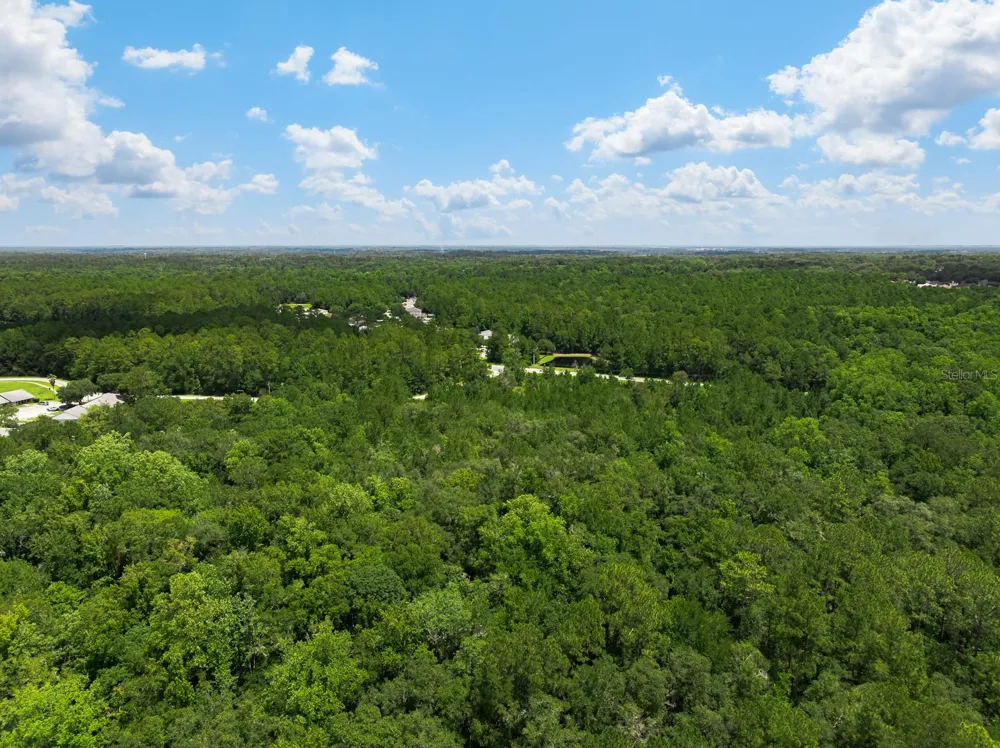 3779 COUNTY ROAD 218 Middleburg, FL 32068