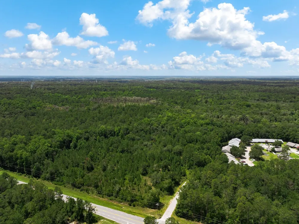 3779 COUNTY ROAD 218 Middleburg, FL 32068