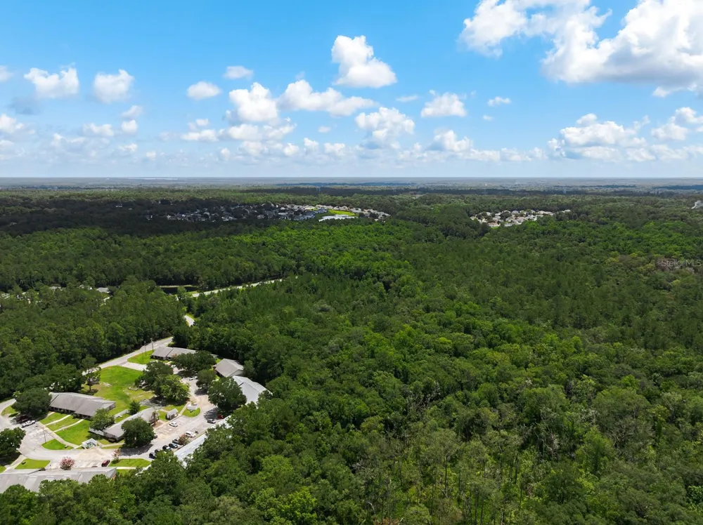 3779 COUNTY ROAD 218 Middleburg, FL 32068