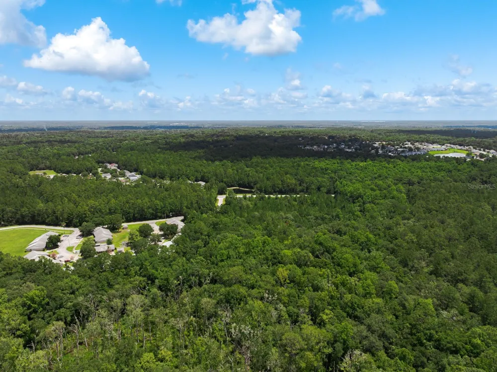 3779 COUNTY ROAD 218 Middleburg, FL 32068
