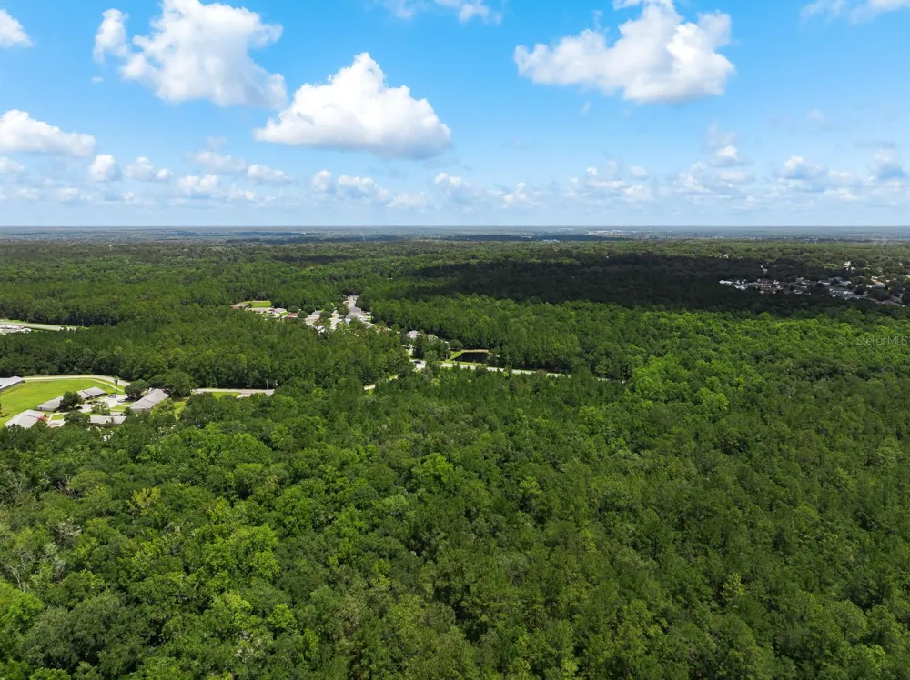 3779 COUNTY ROAD 218 Middleburg, FL 32068