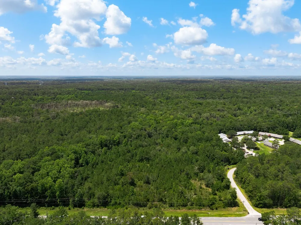 3779 COUNTY ROAD 218 Middleburg, FL 32068