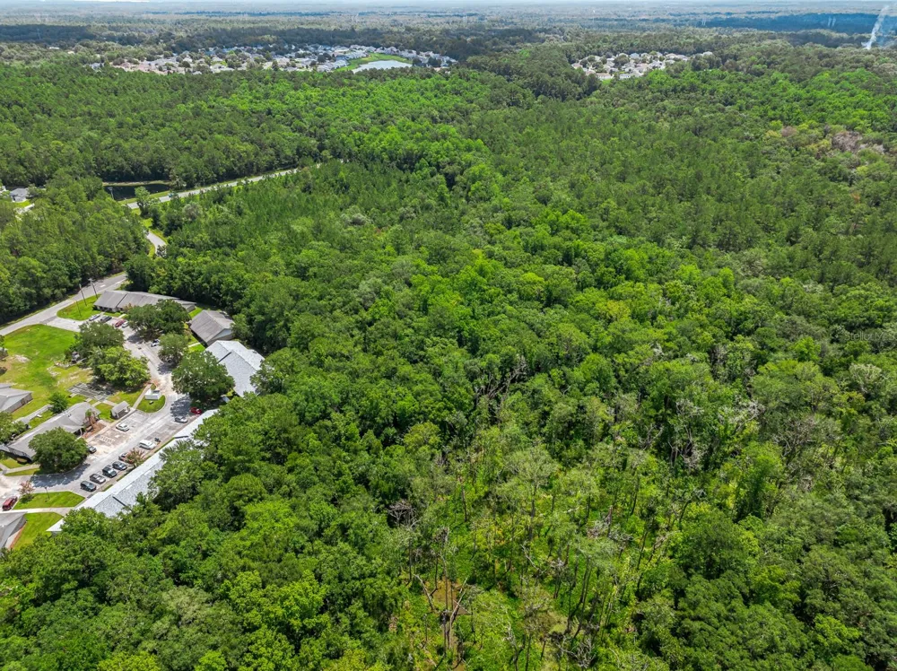 3779 COUNTY ROAD 218 Middleburg, FL 32068
