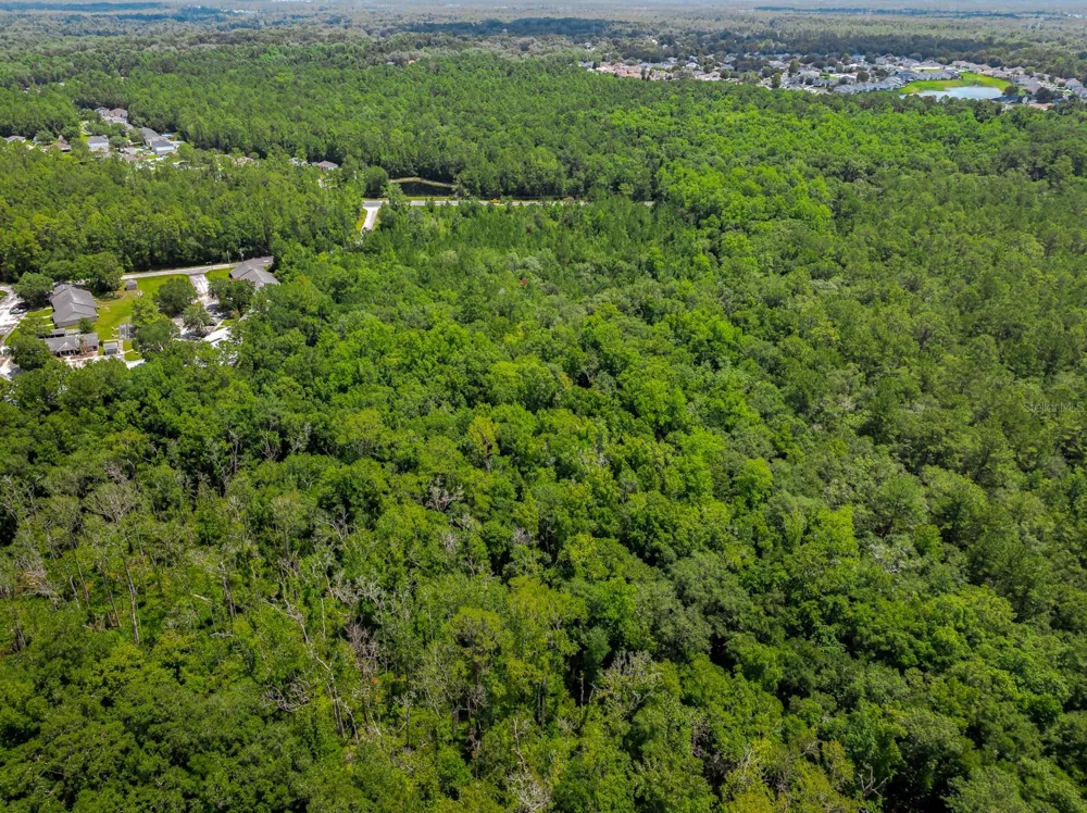 3779 COUNTY ROAD 218 Middleburg, FL 32068
