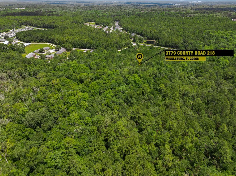 3779 COUNTY ROAD 218 Middleburg, FL 32068