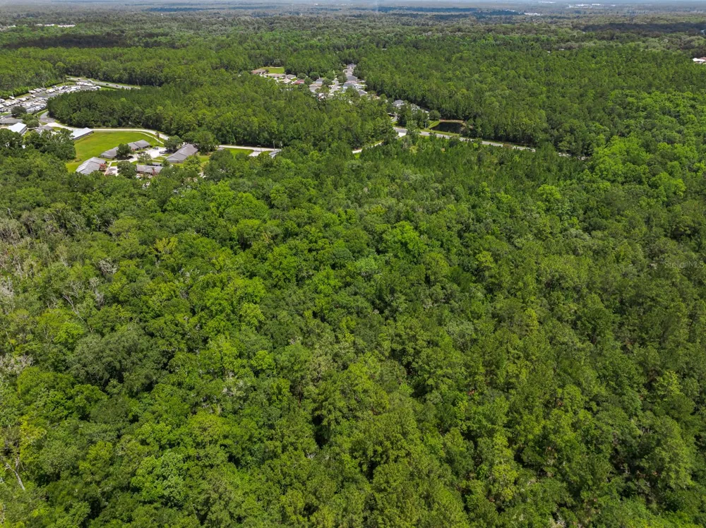 3779 COUNTY ROAD 218 Middleburg, FL 32068