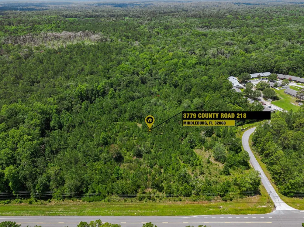 3779 COUNTY ROAD 218 Middleburg, FL 32068