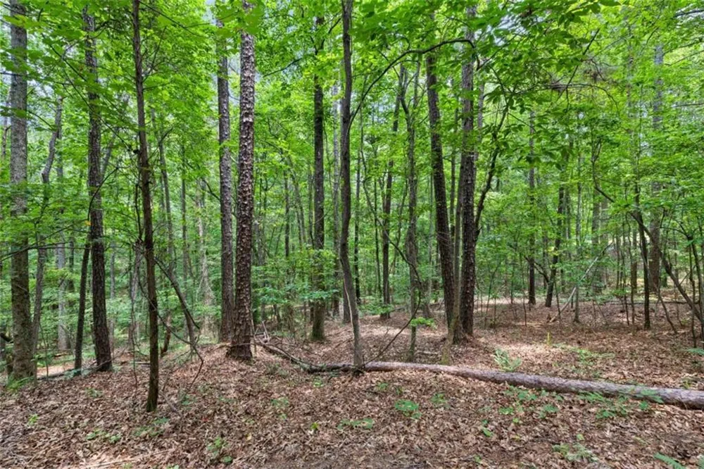 0 Terry Road Fairburn, GA 30213