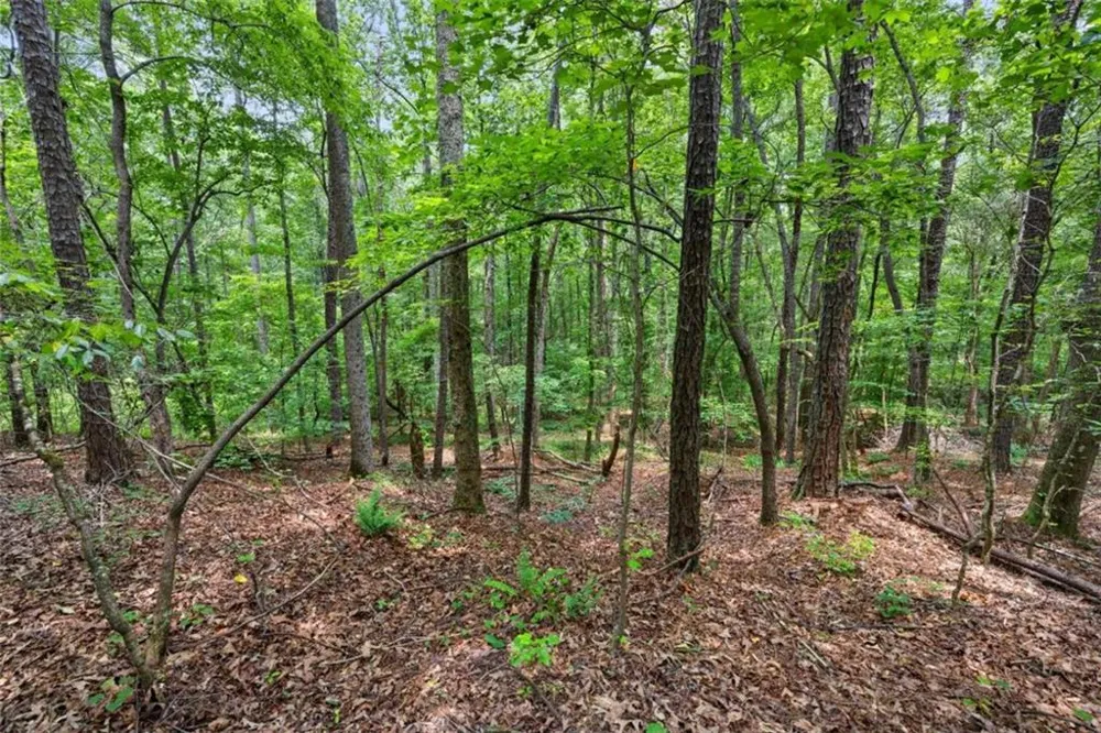 0 Terry Road Fairburn, GA 30213