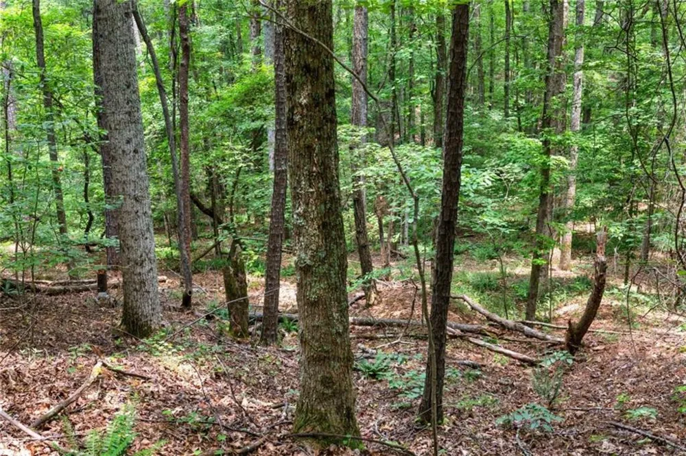 0 Terry Road Fairburn, GA 30213