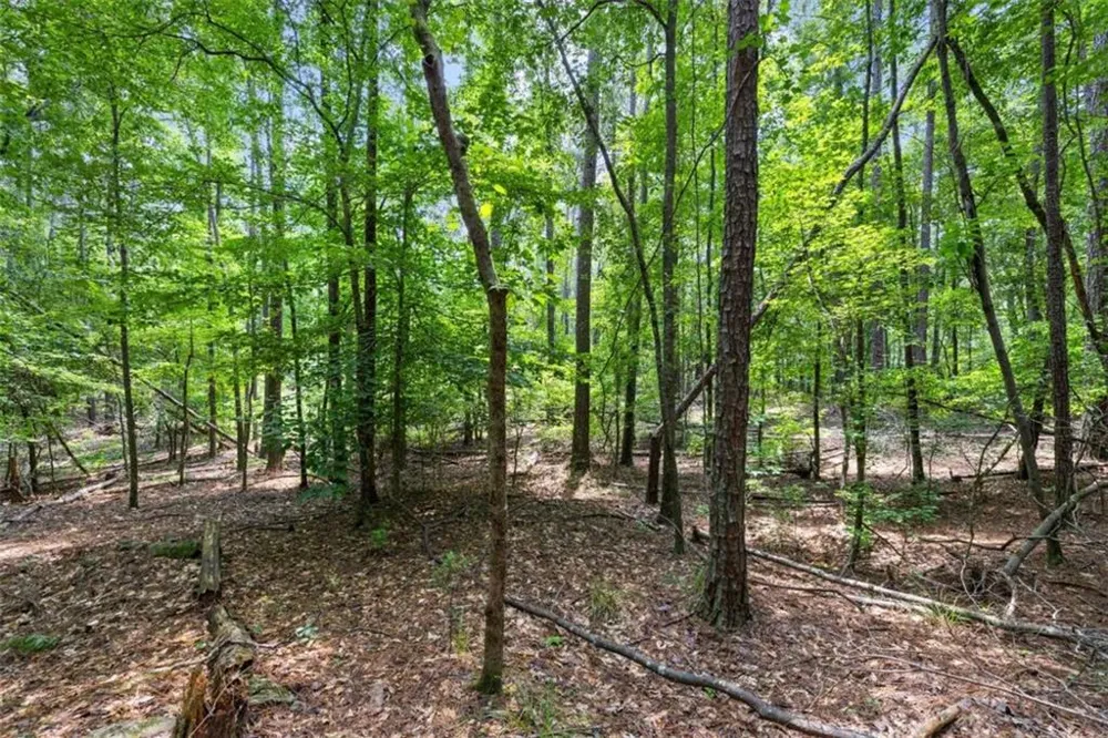 0 Terry Road Fairburn, GA 30213