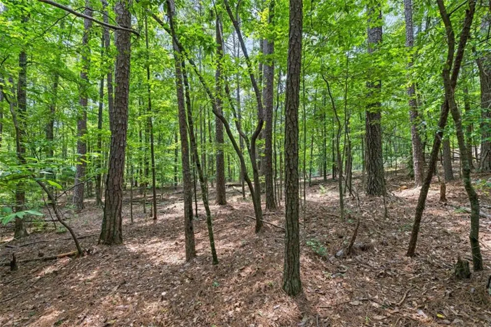 0 Terry Road Fairburn, GA 30213