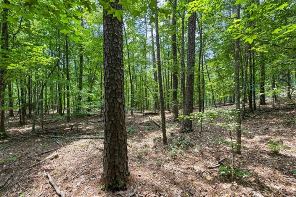 0 Terry Road Fairburn, GA 30213