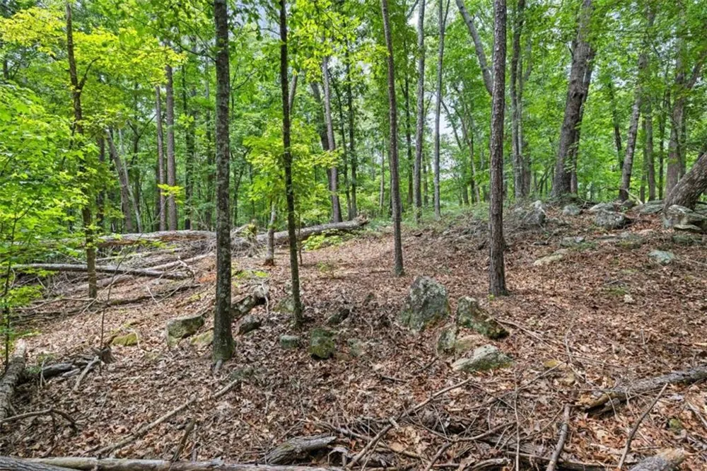 0 Terry Road Fairburn, GA 30213