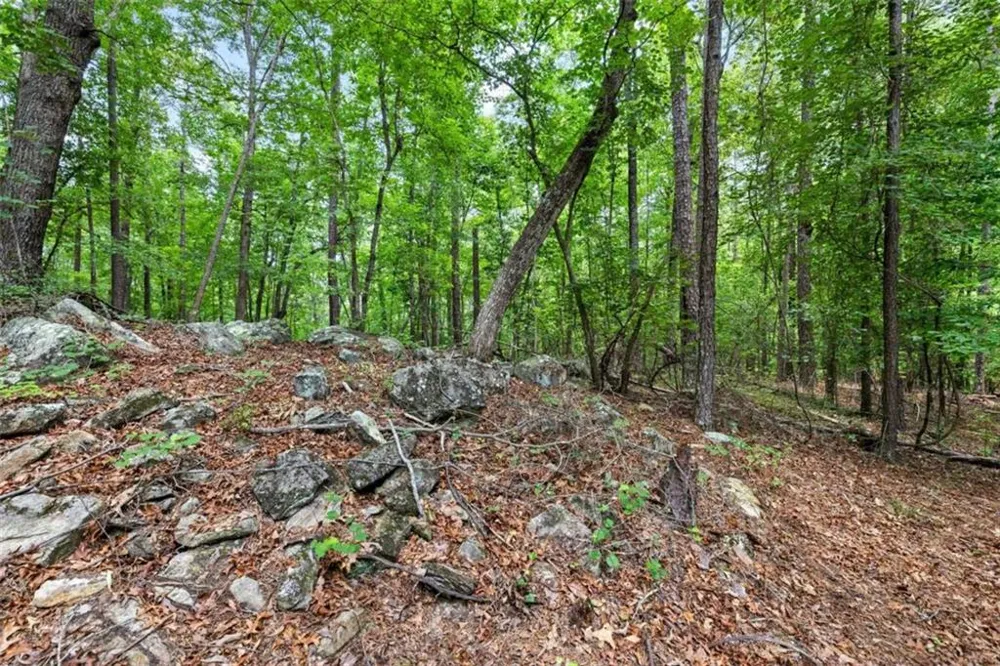 0 Terry Road Fairburn, GA 30213