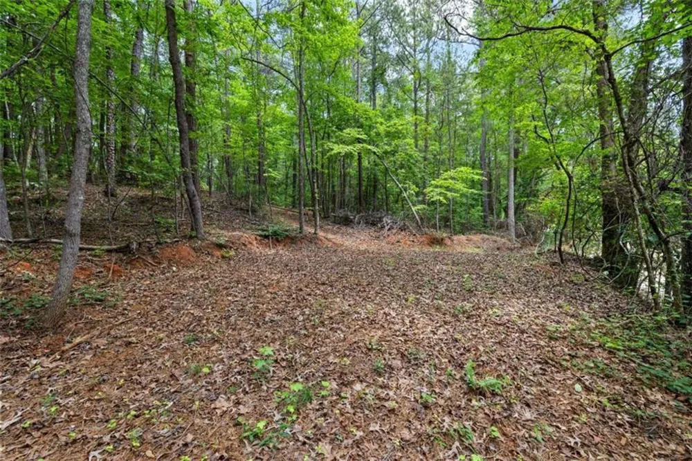 0 Terry Road Fairburn, GA 30213