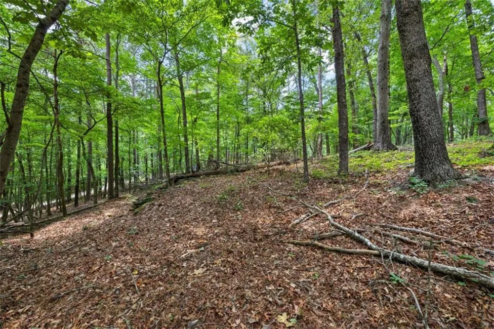 0 Terry Road Fairburn, GA 30213
