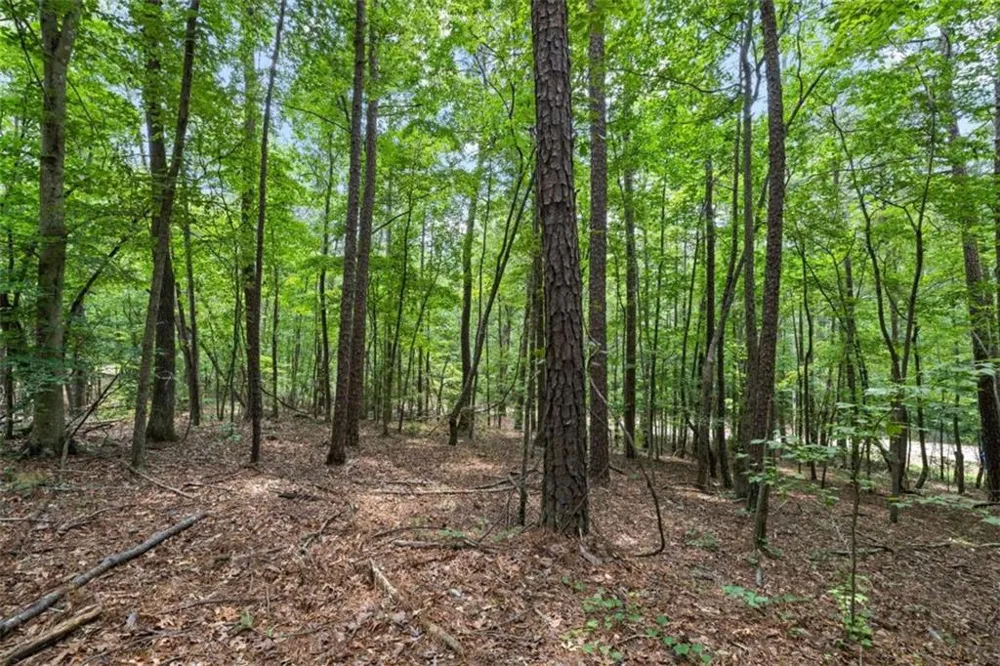 0 Terry Road Fairburn, GA 30213