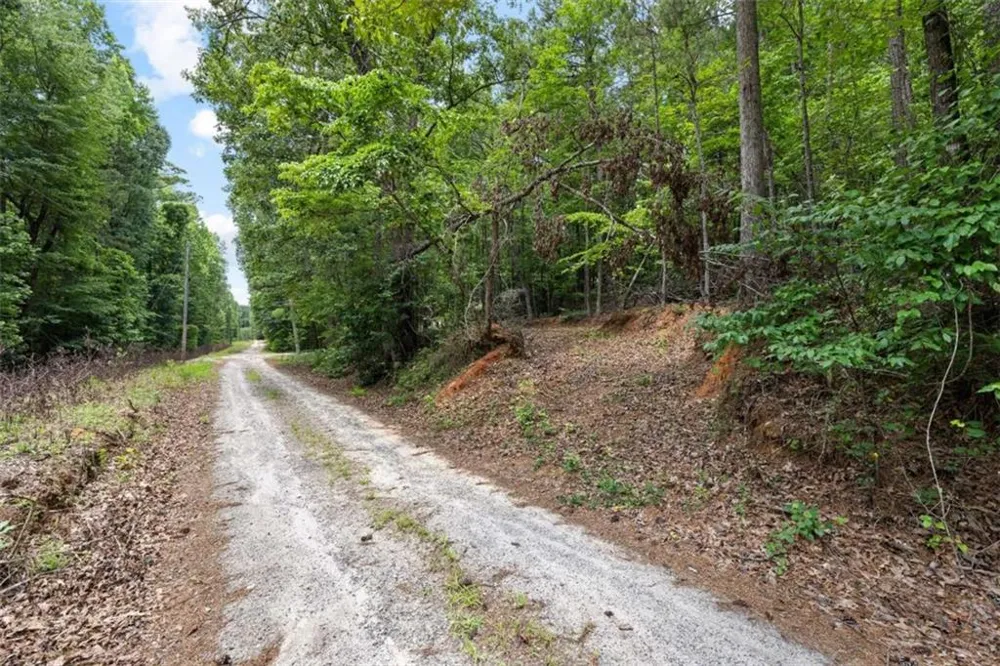 0 Terry Road Fairburn, GA 30213