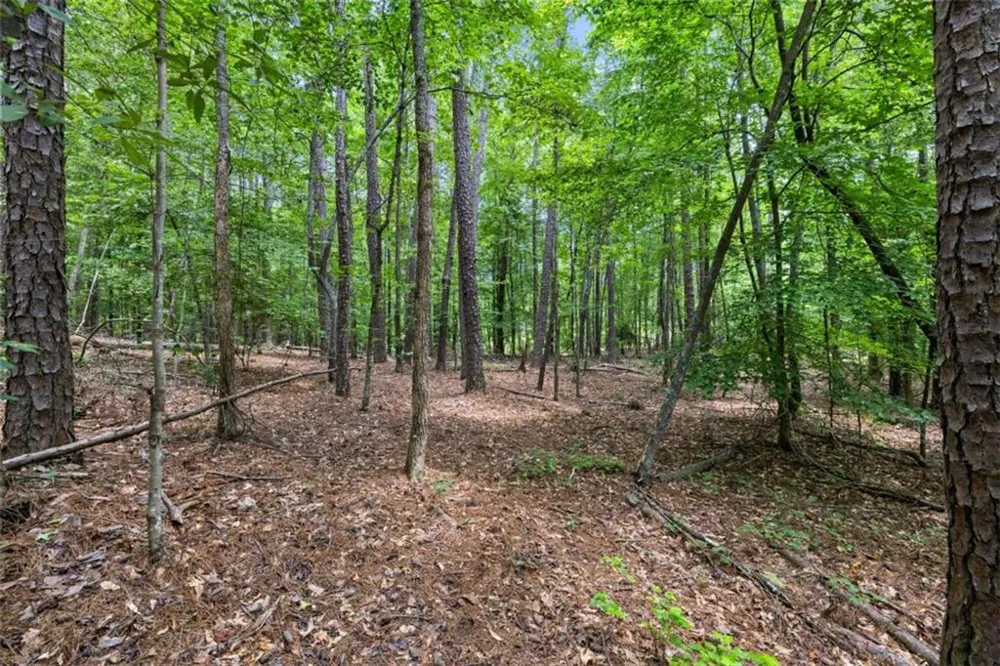 0 Terry Road Fairburn, GA 30213