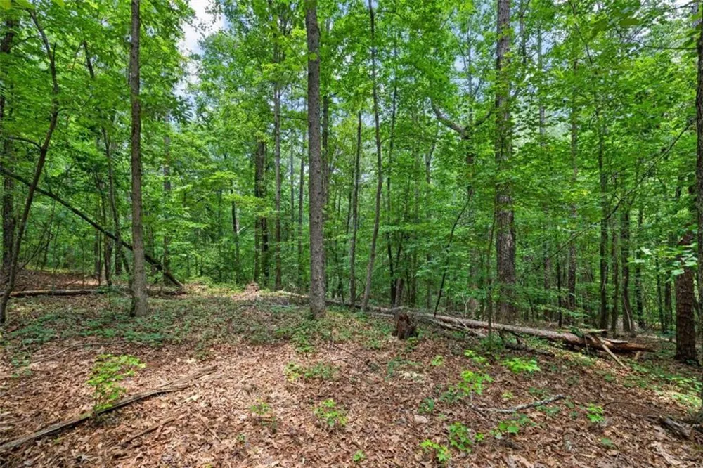 0 Terry Road Fairburn, GA 30213