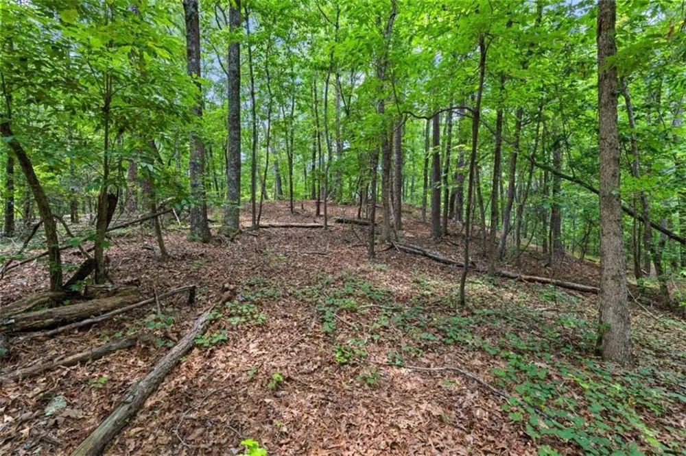 0 Terry Road Fairburn, GA 30213