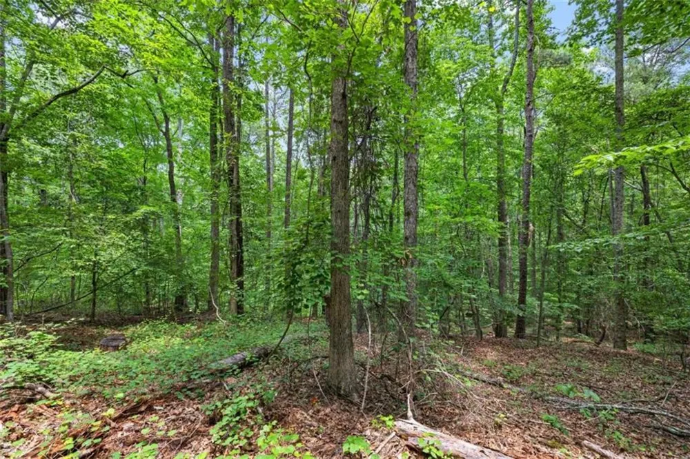 0 Terry Road Fairburn, GA 30213