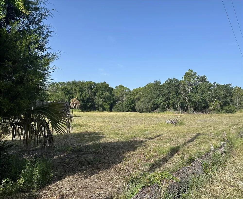 11360 S FLORIDA AVENUE Floral City, FL 34436