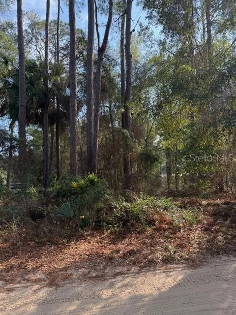 TBD NE 236 TERRACE Fort Mc Coy, FL 32134
