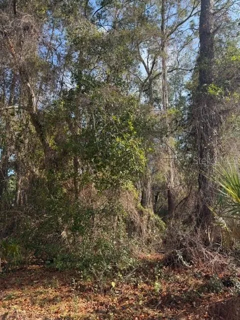 TBD NE 236 TERRACE Fort Mc Coy, FL 32134